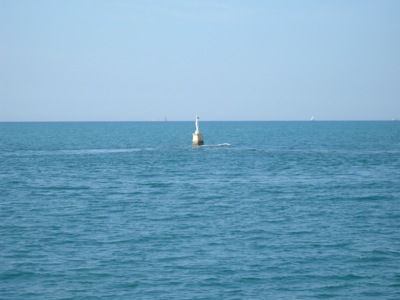 DSCN0554